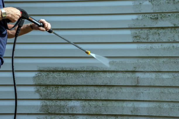 Best Roof Pressure Washing  in Cle Elum, WA